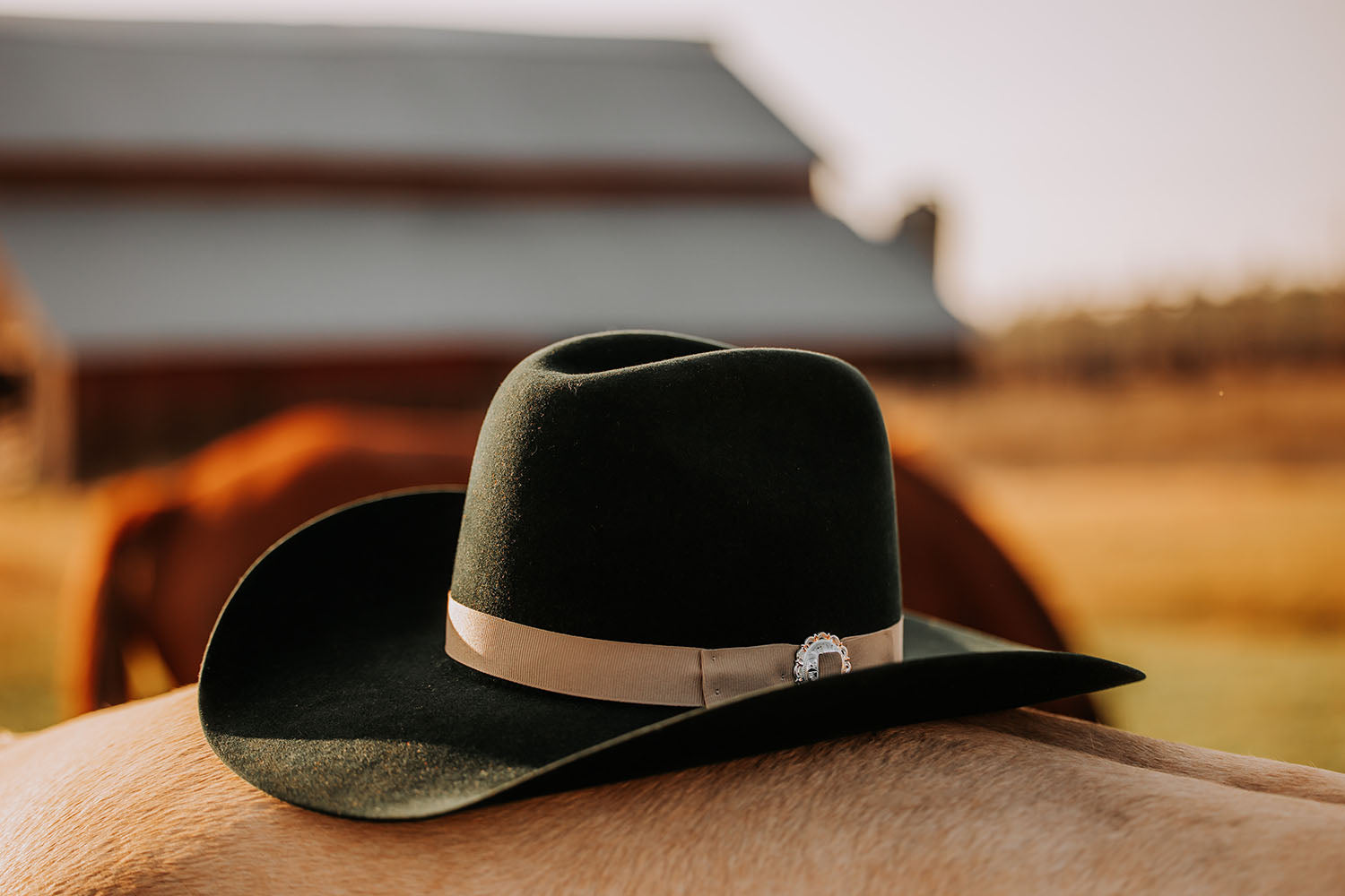 Crafted from 6X fur felt in dark olive, this hat features a 4” wide shovel brim paired with a tall brick crown that measures 4 1/2” tall. The hat is finished with a goat leather sweatband, a polished metal concho set, a silver 7/8 inch ribbon, and a special edition royal blue satin liner.